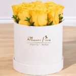 Box Classic Amarillo