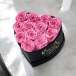 CORAZON DELUXE ALANIS